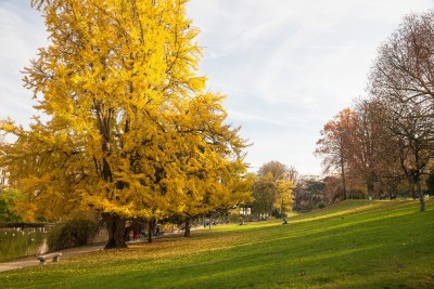 秋のモンスーリ公園