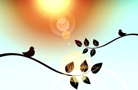 太陽と鳥