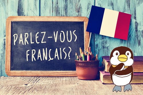 フランス語を学ぶペンギン