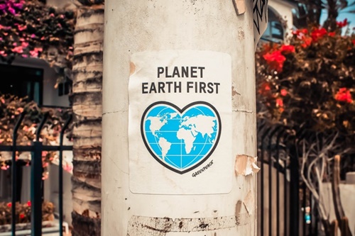 planet earth first のポスター